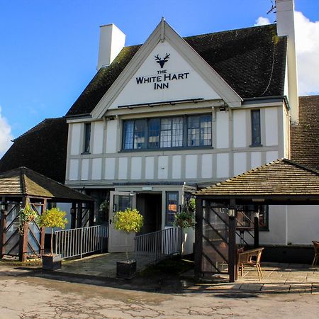 فندق The White Hart سويندون المظهر الخارجي الصورة